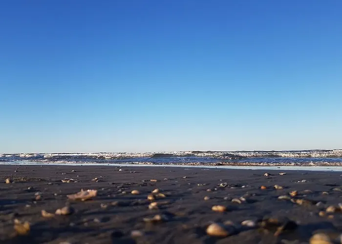 Zadina تْشيزيناتيكو